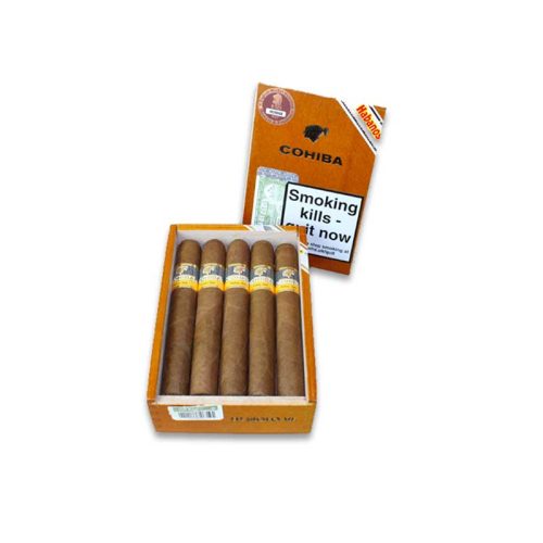 Cohiba Siglo VI (10)