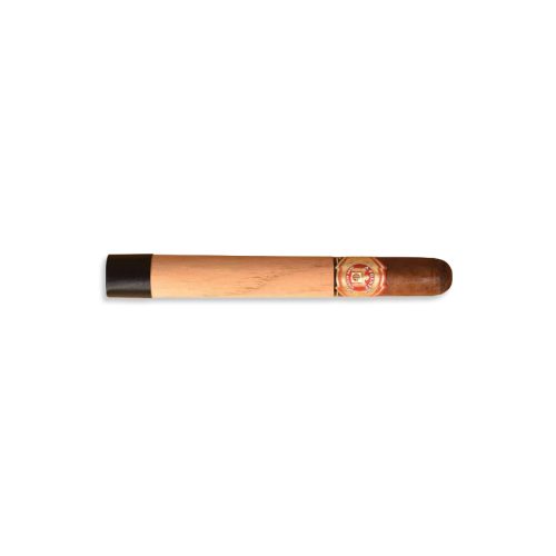 Arturo Fuente Double Chateau Fuente Sun Grown (20)